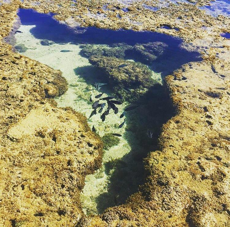Pousada Maracabana Porto de Galinhas Bagian luar foto